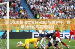 微信在哪投注世界杯-微信与世界杯，数字时代的观赛新体验
