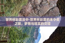 世界杯彩票没中-世界杯彩票的未中奖之旅，梦想与现实的交错