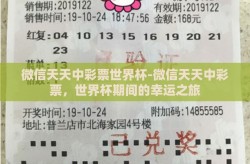 微信天天中彩票世界杯-微信天天中彩票，世界杯期间的幸运之旅