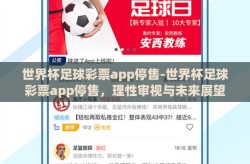 世界杯足球彩票app停售-世界杯足球彩票app停售，理性审视与未来展望