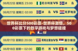 世界杯比分500彩票-世界杯激情，500彩票下的数字游戏与梦想碰撞