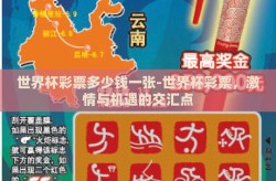 世界杯彩票多少钱一张-世界杯彩票，激情与机遇的交汇点