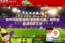 世界杯彩票说明-世界杯彩票，梦想与机遇的交汇点