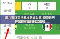 哪儿可以买世界杯足球彩票-探索世界杯足球彩票的购买途径