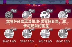 世界杯彩票无法投注-世界杯彩票，激情与规则的碰撞