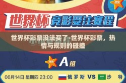 世界杯彩票没法买了-世界杯彩票，热情与规则的碰撞