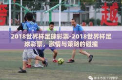 2018世界杯足球彩票-2018世界杯足球彩票，激情与策略的碰撞
