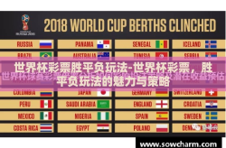 世界杯彩票胜平负玩法-世界杯彩票，胜平负玩法的魅力与策略