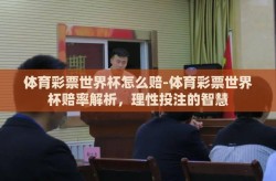 体育彩票世界杯怎么赔-体育彩票世界杯赔率解析，理性投注的智慧