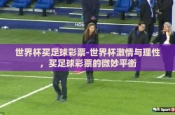 世界杯买足球彩票-世界杯激情与理性，买足球彩票的微妙平衡