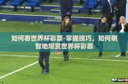 如何看世界杯彩票-掌握技巧，如何明智地观赏世界杯彩票
