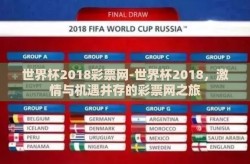 世界杯2018彩票网-世界杯2018，激情与机遇并存的彩票网之旅
