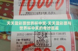 天天盈彩票世界杯中奖-天天盈彩票与世界杯中奖的奇妙邂逅