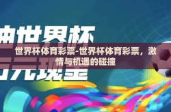 世界杯体育彩票-世界杯体育彩票，激情与机遇的碰撞