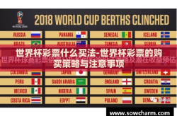 世界杯彩票什么买法-世界杯彩票的购买策略与注意事项