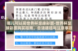 哪儿可以买世界杯足球彩票-世界杯足球彩票购买指南，合法途径与注意事项