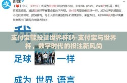 支付宝能投注世界杯吗-支付宝与世界杯，数字时代的投注新风尚
