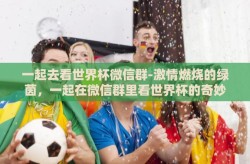 一起去看世界杯微信群-激情燃烧的绿茵，一起在微信群里看世界杯的奇妙旅程