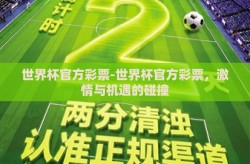 世界杯官方彩票-世界杯官方彩票，激情与机遇的碰撞