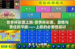 世界杯彩票上税-世界杯彩票，激情与责任的平衡——上税的必要性探讨
