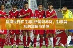 法国世界杯 彩票-法国世界杯，彩票背后的激情与梦想