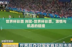 世界杯彩票 购买-世界杯彩票，激情与机遇的碰撞