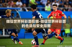 微信世界杯彩票在哪-微信世界杯彩票的合法与安全指南