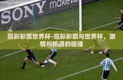 赢彩彩票世界杯-赢彩彩票与世界杯，激情与机遇的碰撞