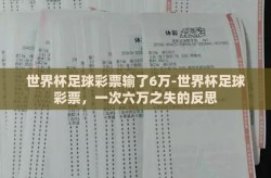 世界杯足球彩票输了6万-世界杯足球彩票，一次六万之失的反思