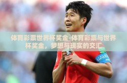 体育彩票世界杯奖金-体育彩票与世界杯奖金，梦想与现实的交汇
