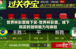 世界杯彩票线下买-世界杯彩票，线下购买的独特魅力与体验