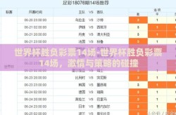 世界杯胜负彩票14场-世界杯胜负彩票14场，激情与策略的碰撞