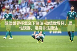 微信世界杯怎么下赌注-微信世界杯，理性观赛，远离非法赌注