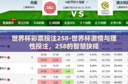 世界杯彩票投注258-世界杯激情与理性投注，258的智慧抉择