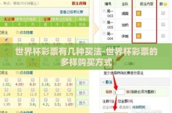 世界杯彩票有几种买法-世界杯彩票的多样购买方式