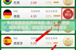 支付宝能买世界杯体彩-支付宝，便捷购彩新渠道，轻松参与世界杯体彩