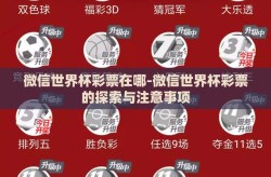 微信世界杯彩票在哪-微信世界杯彩票的探索与注意事项