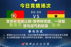 世界杯竞猜让球-世界杯竞猜，一场智慧与运气的较量