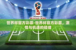 世界杯官方彩票-世界杯官方彩票，激情与机遇的碰撞