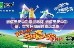 微信天天中彩票世界杯-微信天天中彩票，世界杯期间的幸运之旅