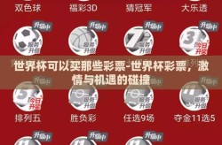 世界杯可以买那些彩票-世界杯彩票，激情与机遇的碰撞