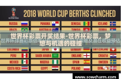 世界杯彩票开奖结果-世界杯彩票，梦想与机遇的碰撞