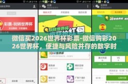 微信买2026世界杯彩票-微信购彩2026世界杯，便捷与风险并存的数字时代新现象
