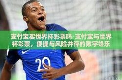支付宝买世界杯彩票吗-支付宝与世界杯彩票，便捷与风险并存的数字娱乐新选择