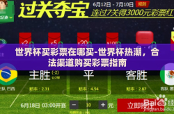 世界杯买彩票在哪买-世界杯热潮，合法渠道购买彩票指南