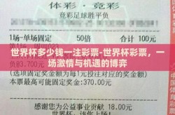 世界杯多少钱一注彩票-世界杯彩票，一场激情与机遇的博弈