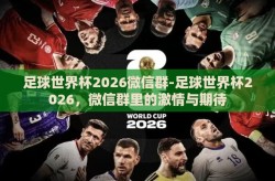 足球世界杯2026微信群-足球世界杯2026，微信群里的激情与期待