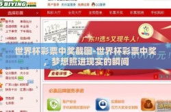 世界杯彩票中奖截图-世界杯彩票中奖，梦想照进现实的瞬间