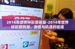 2014年世界杯彩票销量-2014年世界杯彩票热潮，激情与机遇的碰撞