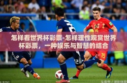 怎样看世界杯彩票-怎样理性观赏世界杯彩票，一种娱乐与智慧的结合